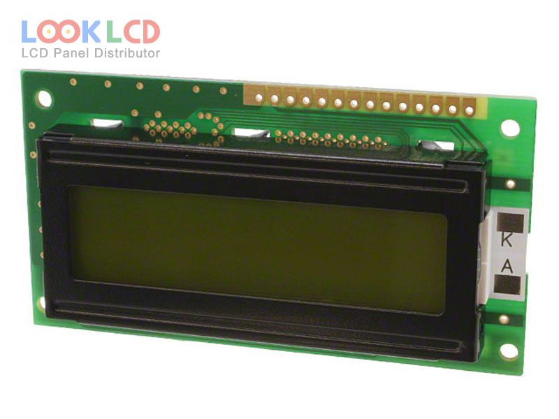 DMC-16202NY-LY-BJE-BLN