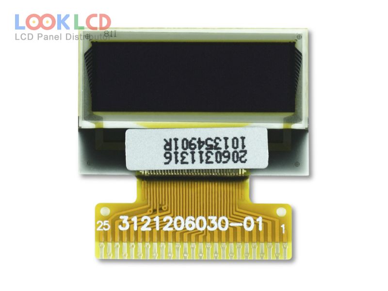 RGC11096096FR007